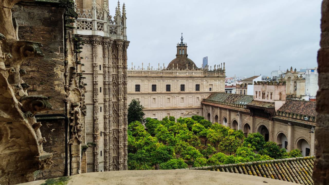 Seville Cathedral Visit: My Beautiful Experience At Seville
